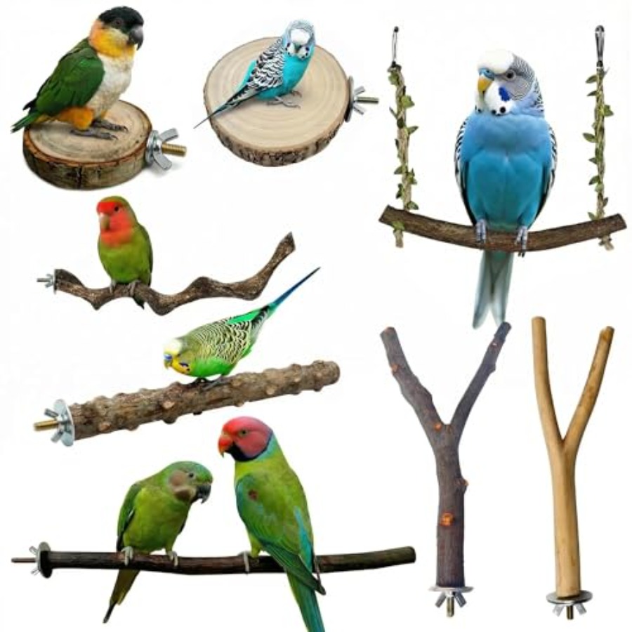 8PCS tempat bertengger burung  - Health & Wellness Japan ulasan dan harga